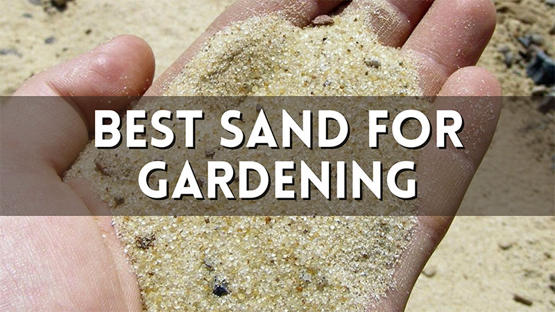 Best Sand for Gardening with Sand Reviews